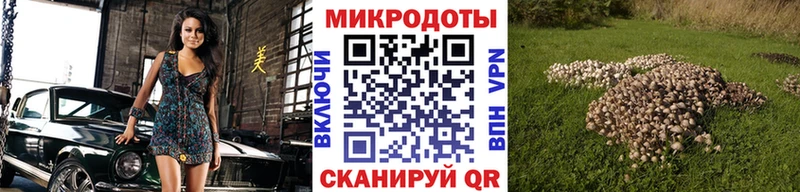 Галлюциногенные грибы Magic Shrooms  продажа наркотиков  Лениногорск 