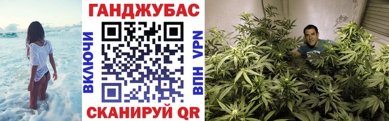 Марихуана конопля  маркетплейс какой сайт  Лениногорск 